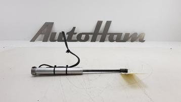 DIVERSEN Cabriodak cilinder Peugeot 207 CC (WB) (|8446P6|) beschikbaar voor biedingen