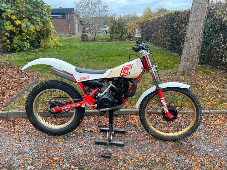 Yamaha TY250, Motoren, Motoren | Yamaha, Particulier, Ophalen