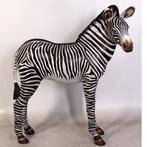 Zebra Veulen beeld - Hoogte 110 cm, Verzamelen, Dierenverzamelingen, Ophalen, Nieuw