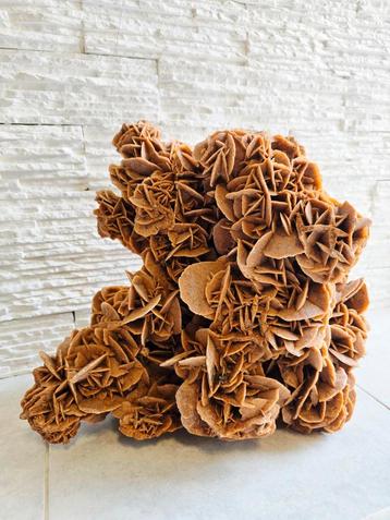  Exceptionnelle Rose des Sables - Pièce Unique de Collecti beschikbaar voor biedingen