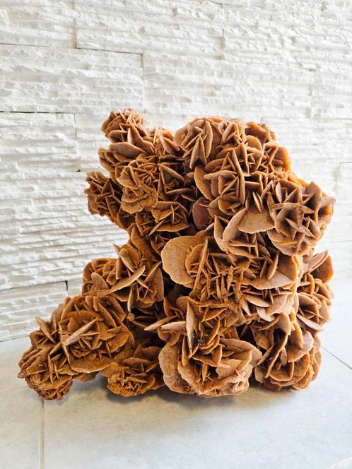 Exceptionnelle Rose des Sables - Pièce Unique de Collecti, Antiek en Kunst, Kunst | Overige Kunst, Ophalen