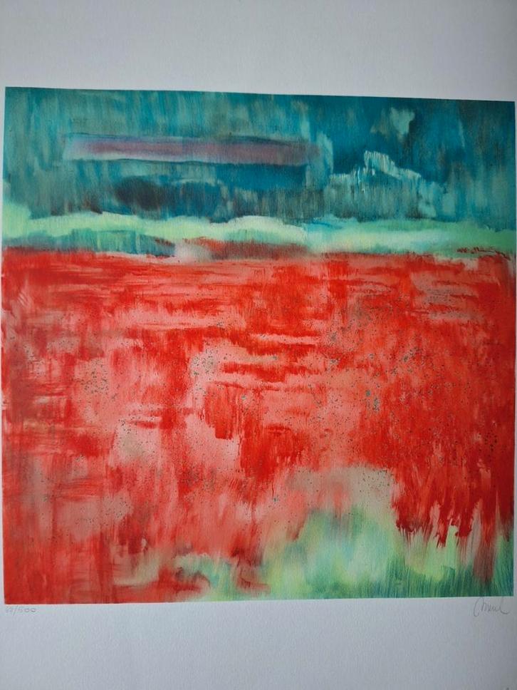 Kleurrijke litho van Merel Landschap in groen en rood, Antiek en Kunst, Kunst | Litho's en Zeefdrukken, Ophalen of Verzenden