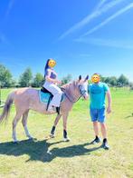 Super braaf en mooie D pony te koop, Dieren en Toebehoren, Zadelmak, 7 tot 10 jaar, D pony (1.37m tot 1.48m), Merrie