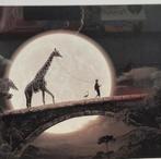 Thomas HERBRICH Kunstfotografie, Antiek en Kunst, Kunst | Tekeningen en Fotografie, Ophalen of Verzenden