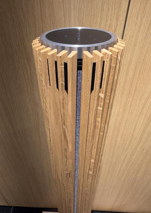 Bang & Olufsen Beolab 28 Silver met oak 2025 - B&O, Audio, Tv en Foto, Luidsprekerboxen, Zo goed als nieuw, Front, Rear of Stereo speakers