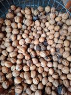 Okkernoten, Diversen, Ophalen