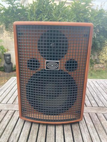 Shertler Jam 150 amp + Shertler pickup beschikbaar voor biedingen