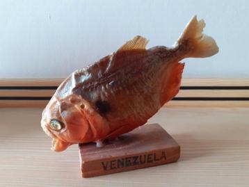 Piranha sur socle en bois, Enlèvement ou Envoi, Comme neuf, Autres, Autres types