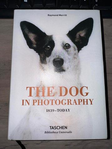 Dog in Photography: 1839 a aujourd’hui beschikbaar voor biedingen