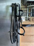 Hoofdstel maat pony, Ophalen, Gebruikt