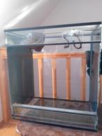 Terrarium te koop / meerdere, Ophalen, Gebruikt, Terrarium of Paludarium