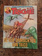Trigië (Oberon) 3: de vijf opdrachten van Trigo, Eén stripboek, Ophalen of Verzenden, Gelezen