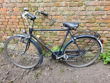 Oxford perfect 56 beschikbaar voor biedingen