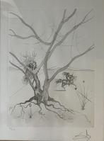 tekening litho, Antiek en Kunst, Ophalen of Verzenden