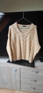 Beige trui, Kleding | Dames, Ophalen of Verzenden, Zo goed als nieuw, Maat 38/40 (M), Beige