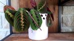 Decoratief Wit Bloempotje 15.5 cm Hoog (Zonder plantjes), Ophalen of Verzenden, Binnen
