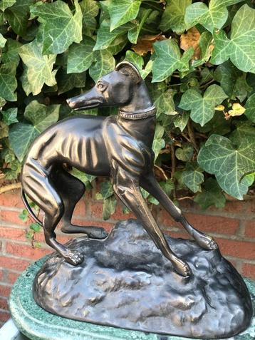 bronzen sculptuur whippet greyhound windhond hond, Antiek en Kunst, Ophalen of Verzenden