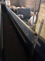 Paneltim hokinrichting vleesvarkens [780], Dieren en Toebehoren