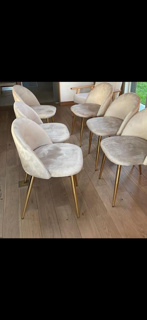 6 Chaises pieds dorés avec assises en velours beige, Enlèvement, Comme neuf