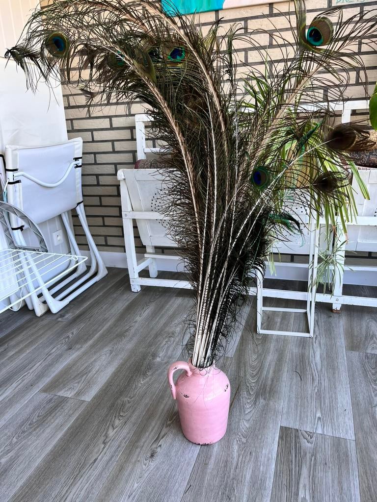 Pauwenveren (35 stuks), Ophalen, Zo goed als nieuw