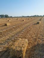 Gerstestro, Zakelijke goederen, Landbouw | Veevoer, Ophalen