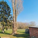 Gratis hout, Enlèvement