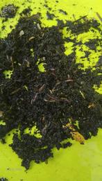 Wormencompost ( tijgerwormen), Tuin en Terras, Ophalen of Verzenden