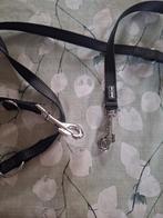 Nieuwe leiband hond, Enlèvement, Neuf, Laisse pour chien