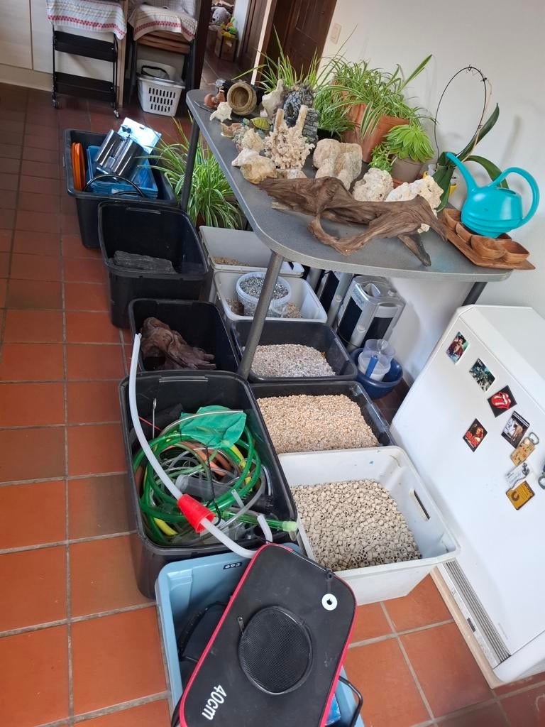 Aquarium gerief, Ophalen, Decoratie