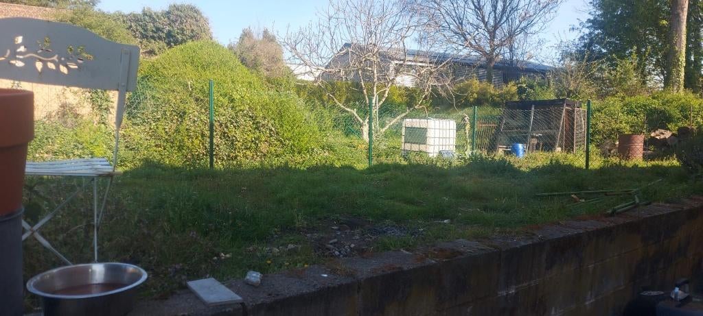 filet de cloture vert, Jardin & Terrasse, Enlèvement, Utilisé, Fer, Clôture en treillis métallique simple