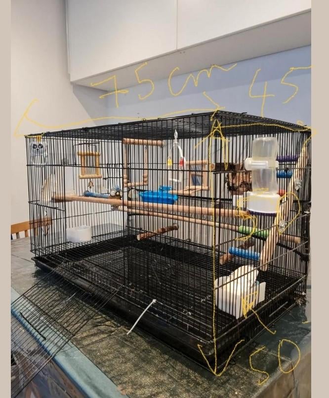 Grande cage pour oiseaux + accessoires, Dieren en Toebehoren, Knaagdieren en Konijnen | Hokken en Kooien, Kooi, Ophalen