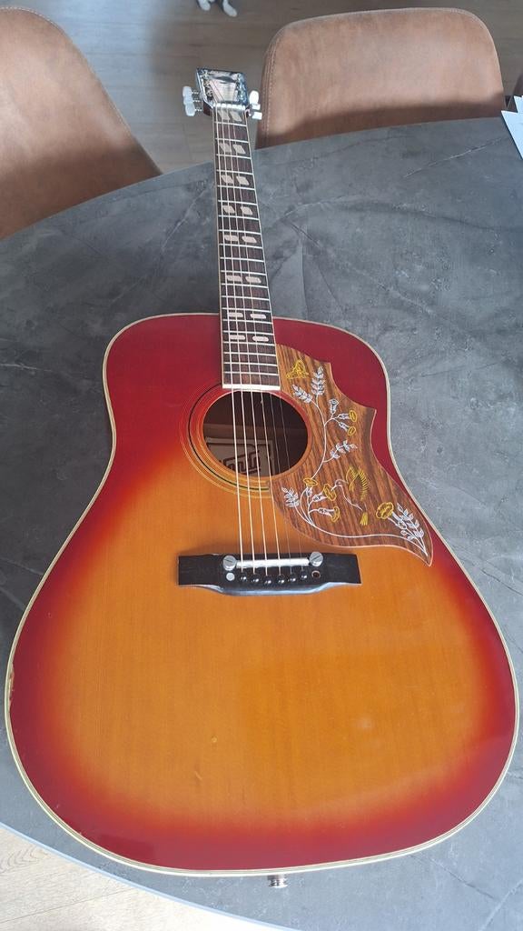 Hondo II Hummingbird, Musique & Instruments, Instruments à corde | Guitares | Acoustiques, Enlèvement