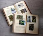 2x Faunaflor Congo chromos Tintin royaume animaux et plantes, Livres, Livres d'images & Albums d'images, Envoi, Utilisé, Cote d'or