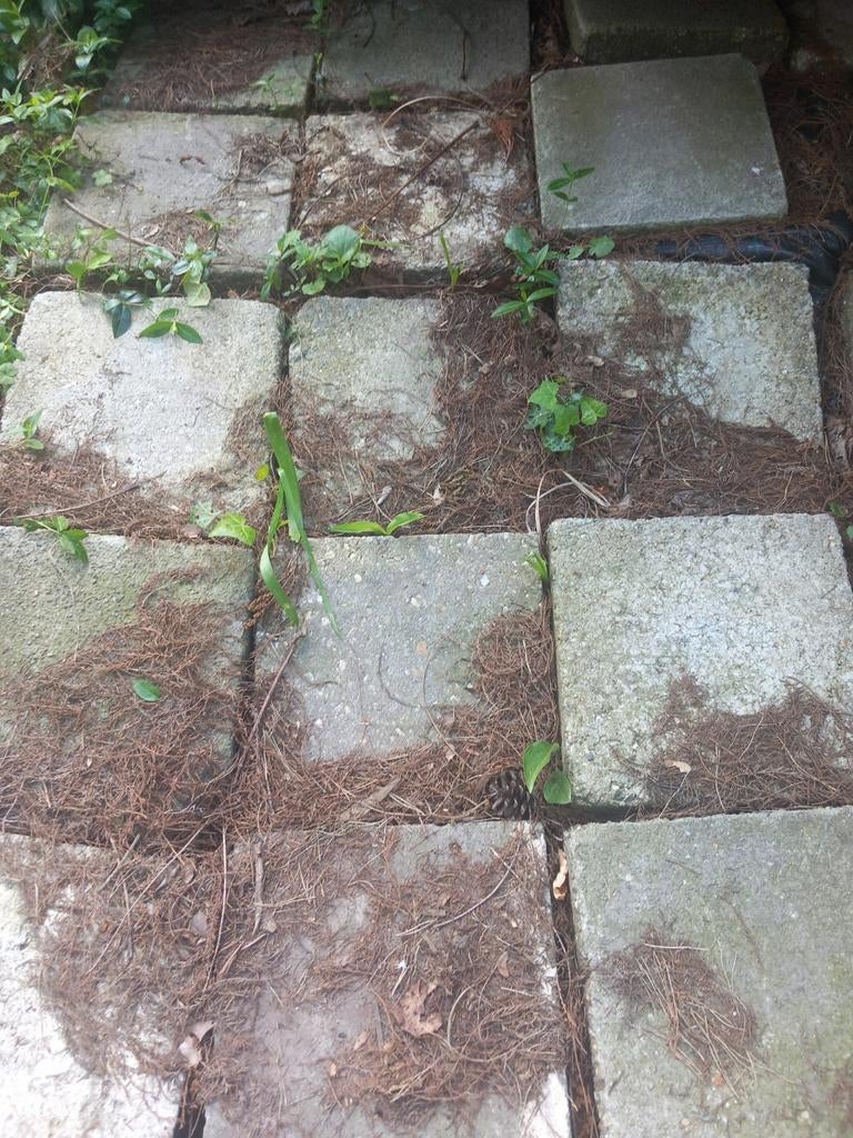 Gratis dals, Enlèvement