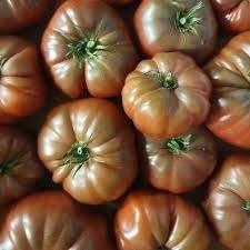 tomatenplanten Courgette geel en groen, paprikasoorten, Ophalen, Volle zon, Groenteplanten, Eenjarig