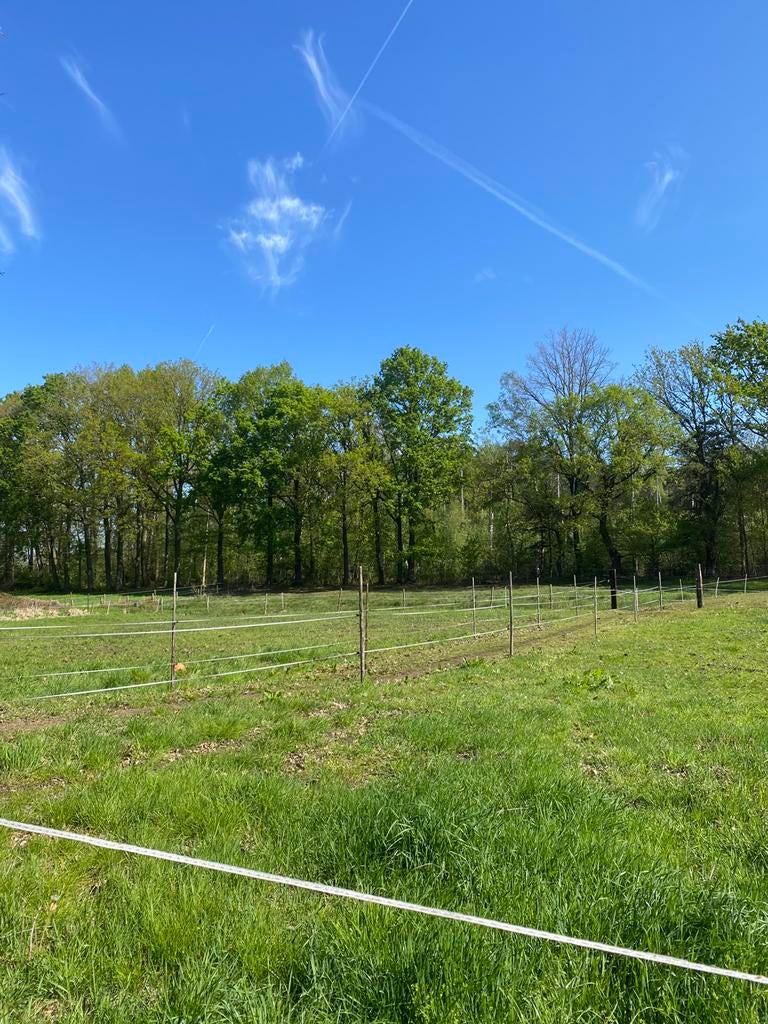 Stal/ weide te huur voor 1 pony/ paard, Pâturage, 1 cheval ou poney