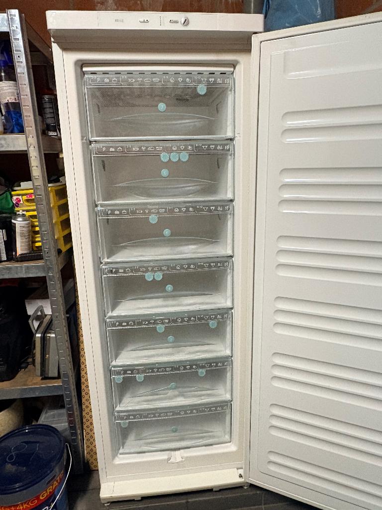 Diepvries Miele, Elektronische apparatuur, Gebruikt, 160 cm of meer, Ophalen, Vrieskast