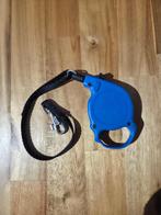 Laisse petit chien, Enlèvement, Utilisé, Laisse pour chien