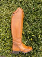 Paardrijlaarzen Celeris Pablo – maat 38, Dieren en Toebehoren, Paardrijkleding, Ophalen, Dressuur, Zo goed als nieuw, Dames