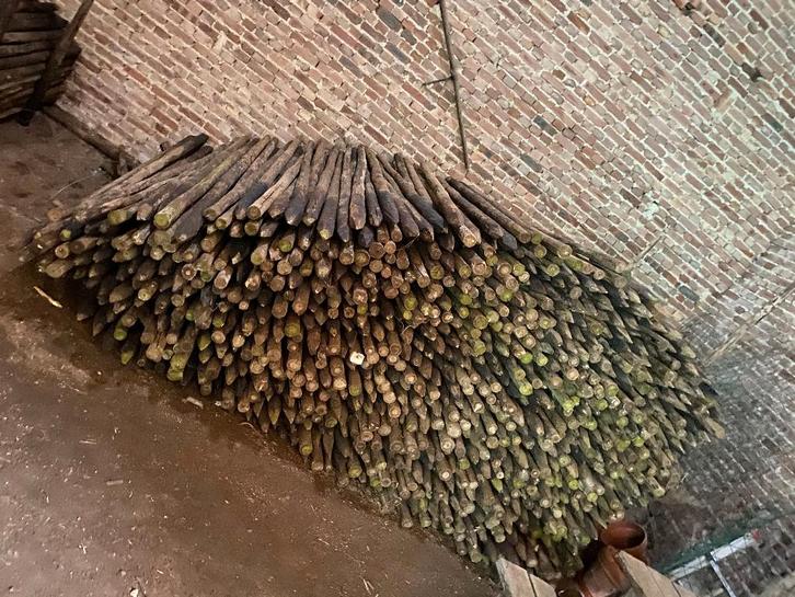 Weidepalen 2,5m, Jardin & Terrasse, Poteaux, Poutres & Planches, Utilisé, Poteaux, 250 cm ou plus, Enlèvement