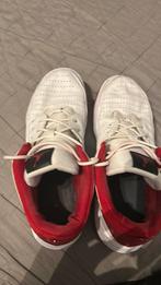 Jordan Max Aura 5, Sports & Fitness, Basket, Enlèvement, Chaussures