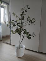 Eucalyptus kunstboom 132cm, Ophalen, Zo goed als nieuw, Binnen