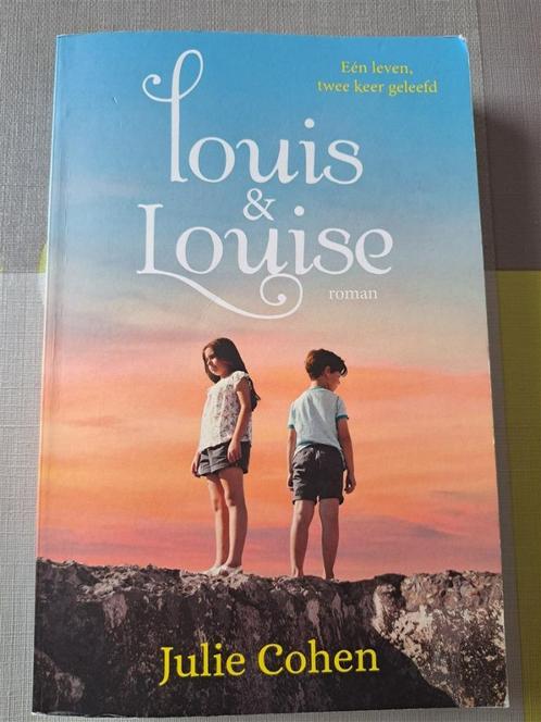 Boek: Louis & Louise van Julie Cohen, Boeken, Romans, Zo goed als nieuw, Ophalen of Verzenden