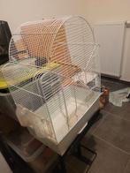 Te. Koop, Ophalen, Gebruikt, Metaal, Vogelkooi