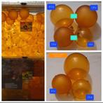 Boules de Noël en verre, Divers, Enlèvement, Utilisé