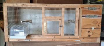 Kweekkooien  beschikbaar voor biedingen