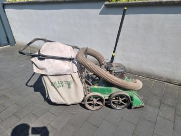 Bladzuiger Billy goat beschikbaar voor biedingen