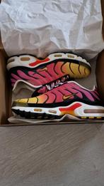 Baskets homme 43 Tn Rainbow, Baskets