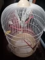 Vogelkooi, Enlèvement ou Envoi, Cage à oiseaux