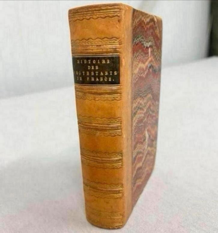 G. de Félice HISTOIRE DES PROTESTANTS DE FRANCE - 1850 oud, Antiek en Kunst, Antiek | Boeken en Manuscripten, Ophalen of Verzenden